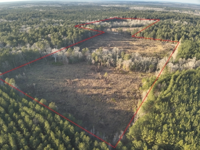 Cleared Land w/ Hardwood Creeks for Sale near Junction City, AR - image 4