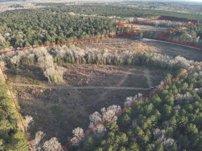 Cleared Land w/ Hardwood Creeks for Sale near Junction City, AR - image 1