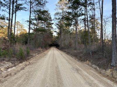 Cleared Land w/ Hardwood Creeks for Sale near Junction City, AR - image 6