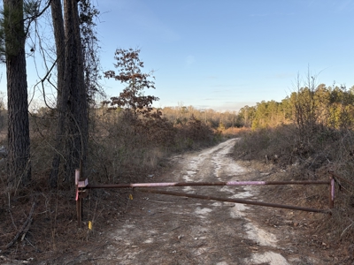 Cleared Land w/ Hardwood Creeks for Sale near Junction City, AR - image 9