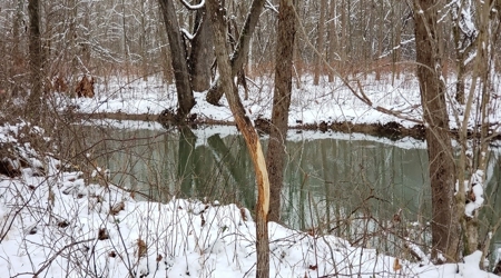 Hunting & Recreational Land For Sale in Scioto County, OH - image 12
