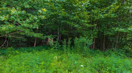 Hunting & Recreational Land For Sale in Scioto County, OH - image 41