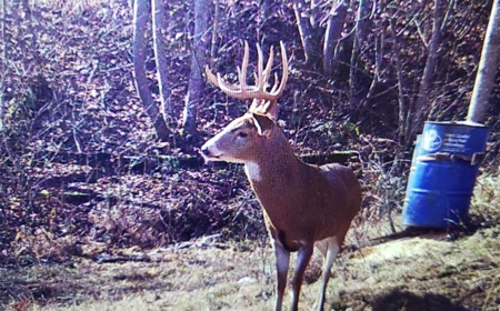Hunting & Recreational Land For Sale in Scioto County, OH - image 26
