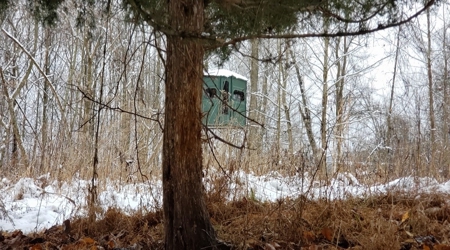 Hunting & Recreational Land For Sale in Scioto County, OH - image 21