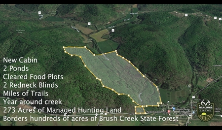 Hunting & Recreational Land For Sale in Scioto County, OH - image 22