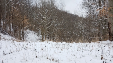 Hunting & Recreational Land For Sale in Scioto County, OH - image 17