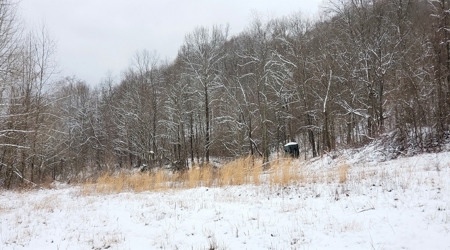 Hunting & Recreational Land For Sale in Scioto County, OH - image 11