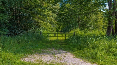 Hunting & Recreational Land For Sale in Scioto County, OH - image 31