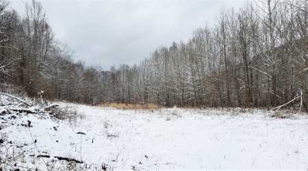 Hunting & Recreational Land For Sale in Scioto County, OH - image 8