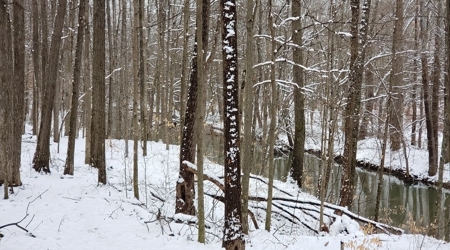Hunting & Recreational Land For Sale in Scioto County, OH - image 14
