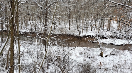 Hunting & Recreational Land For Sale in Scioto County, OH - image 2