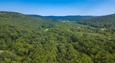 Hunting & Recreational Land For Sale in Scioto County, OH - image 39