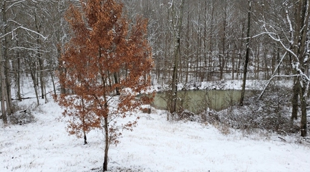Hunting & Recreational Land For Sale in Scioto County, OH - image 4