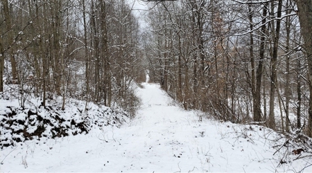 Hunting & Recreational Land For Sale in Scioto County, OH - image 7