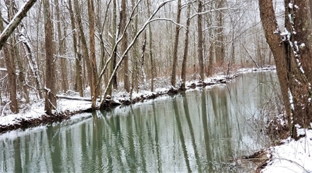 Hunting & Recreational Land For Sale in Scioto County, OH - image 10