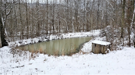 Hunting & Recreational Land For Sale in Scioto County, OH - image 5