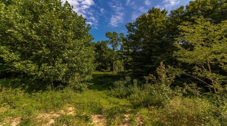 Hunting & Recreational Land For Sale in Scioto County, OH - image 38