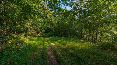 Hunting & Recreational Land For Sale in Scioto County, OH - image 36