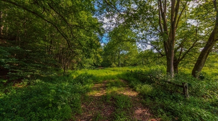 Hunting & Recreational Land For Sale in Scioto County, OH - image 32