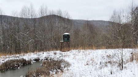 Hunting & Recreational Land For Sale in Scioto County, OH - image 18