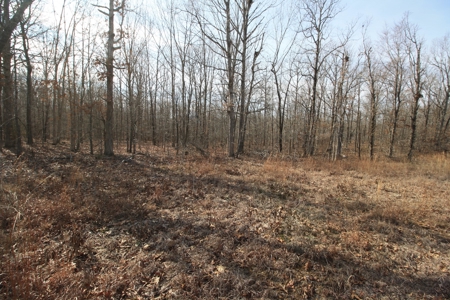 Wayne County Missouri land for sale - image 2