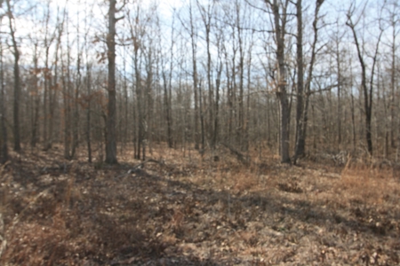 Wayne County Missouri land for sale - image 1