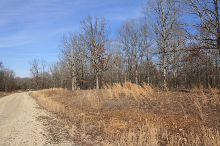 Wappapello Mo Residential Real Estate for sale - image 1