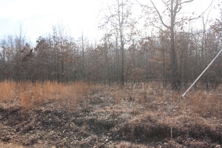 Wappapello Lake MO Recreational land for sale - image 1
