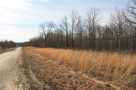 MO land for sale Wappapello Lake MO - image 3