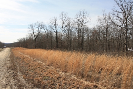 MO land for sale Wappapello Lake MO - image 1