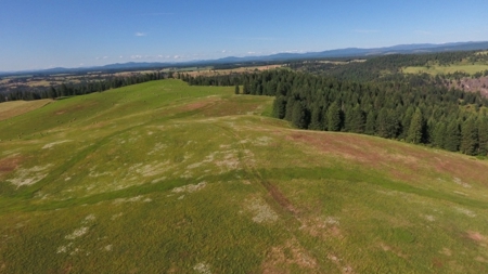 Farm & Ranch Land in Kamiah, Idaho, Timbered Hunting Land - image 7