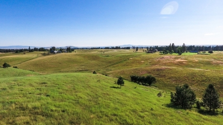 Farm & Ranch Land in Kamiah, Idaho, Timbered Hunting Land - image 14