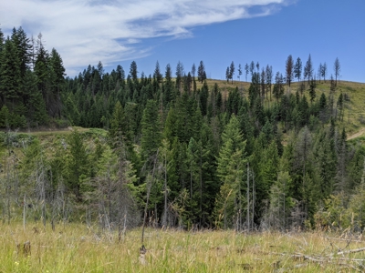 Farm & Ranch Land in Kamiah, Idaho, Timbered Hunting Land - image 38
