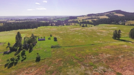 Farm & Ranch Land in Kamiah, Idaho, Timbered Hunting Land - image 9