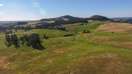 Farm & Ranch Land in Kamiah, Idaho, Timbered Hunting Land - image 8