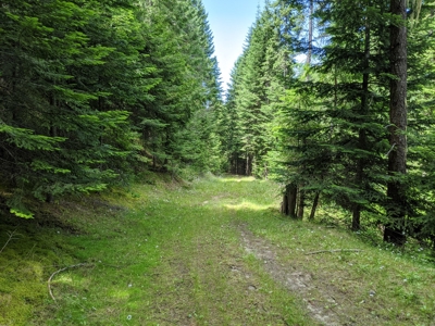Farm & Ranch Land in Kamiah, Idaho, Timbered Hunting Land - image 34