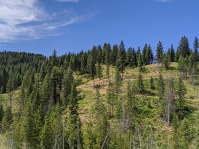 Farm & Ranch Land in Kamiah, Idaho, Timbered Hunting Land - image 27