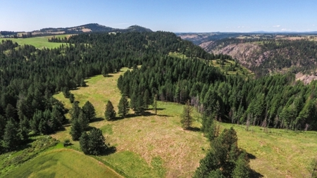 Farm & Ranch Land in Kamiah, Idaho, Timbered Hunting Land - image 23