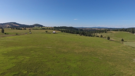 Farm & Ranch Land in Kamiah, Idaho, Timbered Hunting Land - image 4