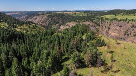 Farm & Ranch Land in Kamiah, Idaho, Timbered Hunting Land - image 25