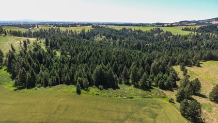 Farm & Ranch Land in Kamiah, Idaho, Timbered Hunting Land - image 22