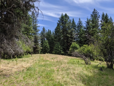 Farm & Ranch Land in Kamiah, Idaho, Timbered Hunting Land - image 35