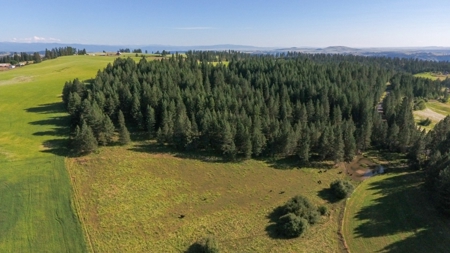 Farm & Ranch Land in Kamiah, Idaho, Timbered Hunting Land - image 6