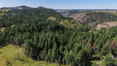 Farm & Ranch Land in Kamiah, Idaho, Timbered Hunting Land - image 26