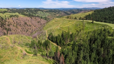 Farm & Ranch Land in Kamiah, Idaho, Timbered Hunting Land - image 1