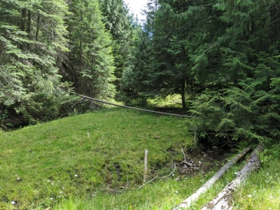 Farm & Ranch Land in Kamiah, Idaho, Timbered Hunting Land - image 33