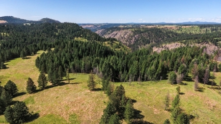 Farm & Ranch Land in Kamiah, Idaho, Timbered Hunting Land - image 24