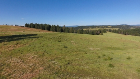 Farm & Ranch Land in Kamiah, Idaho, Timbered Hunting Land - image 11