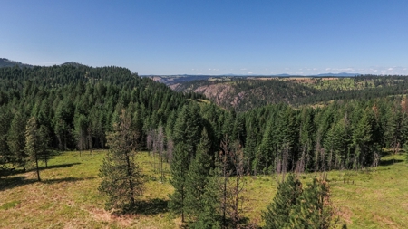 Farm & Ranch Land in Kamiah, Idaho, Timbered Hunting Land - image 20