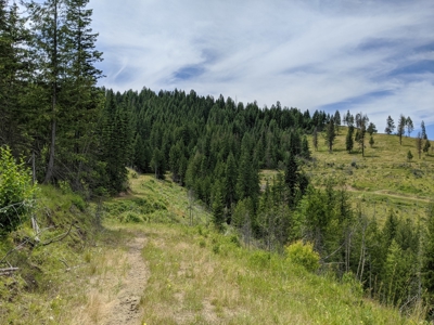 Farm & Ranch Land in Kamiah, Idaho, Timbered Hunting Land - image 37